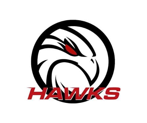 Logo Hassfurt Hawks