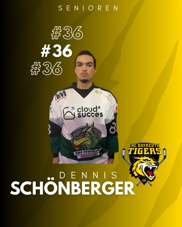 Neuer Spieler - Dennis Schönberger wird ein Tiger