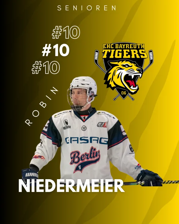 Neuer Spieler - Robin Niedermeier wird wieder ein Tiger